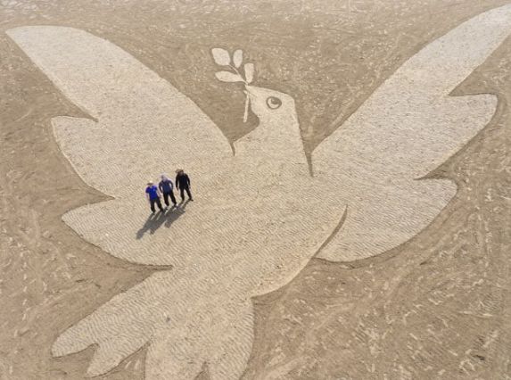 Art Painted Sand