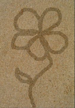 Art Painted Sand