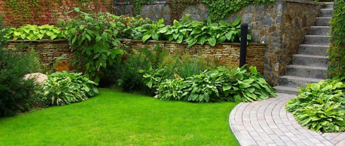 Garden Design Ideas