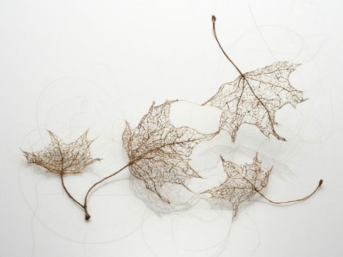 Art Leaf Design
