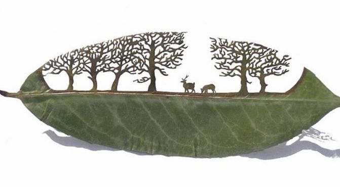 Art Leaf Design