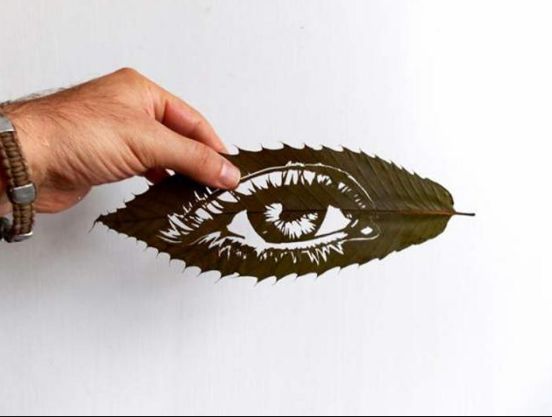 Art Leaf Design