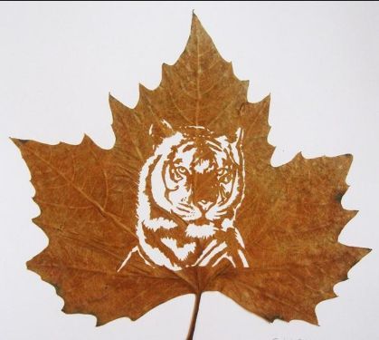 Art Leaf Design