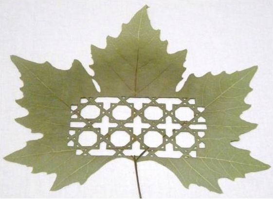 Art Leaf Design