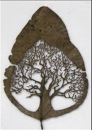 Art Leaf Design