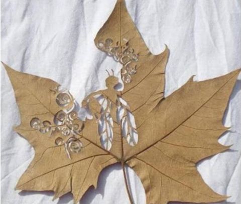 Art Leaf Design