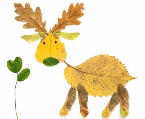 Art Leaf Design