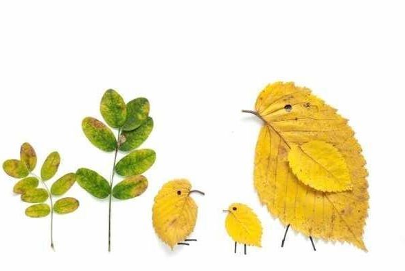 Art Leaf Design