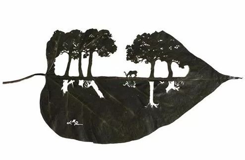 Art Leaf Design