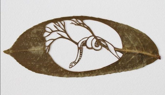 Art Leaf Design