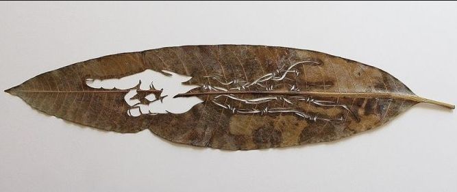 Art Leaf Design