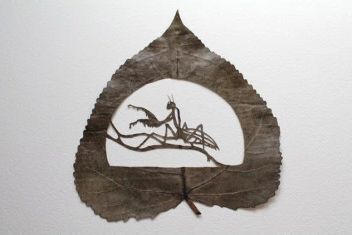 Art Leaf Design