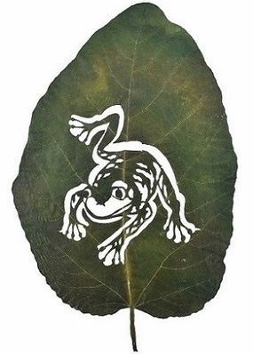 Art Leaf Design