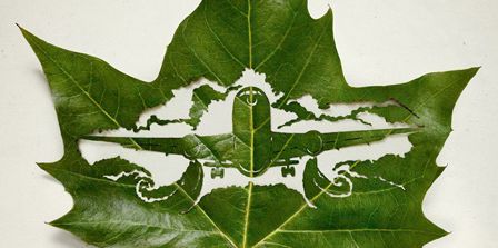 Art Leaf Design