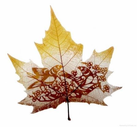 Art Leaf Design