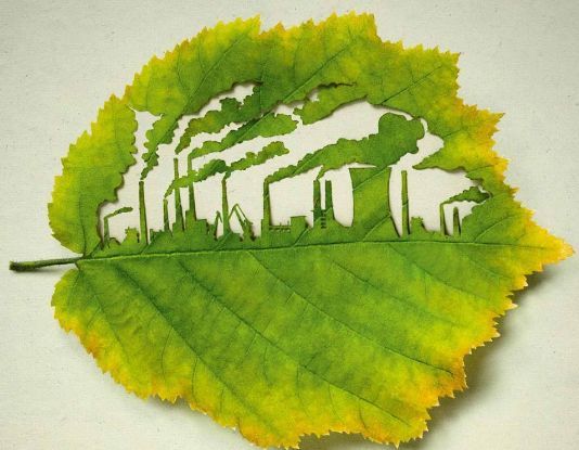 Art Leaf Design