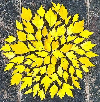 Art Leaf Design