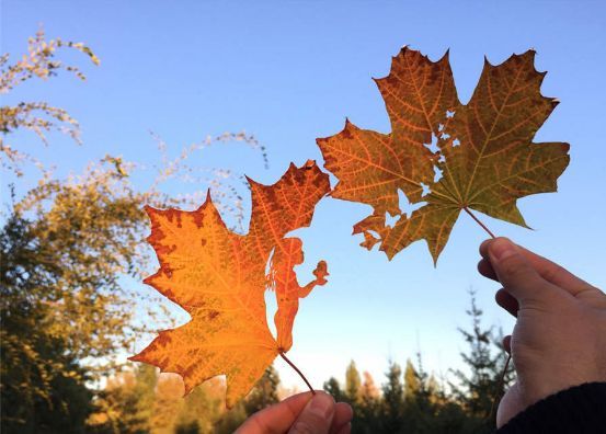 Art Leaf Design