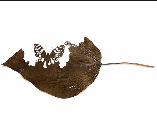 Art Leaf Design