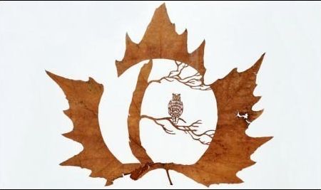 Art Leaf Design