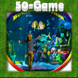 Best Aquarium