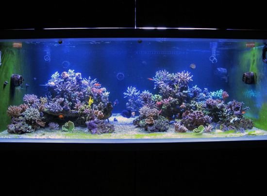 Best Aquarium