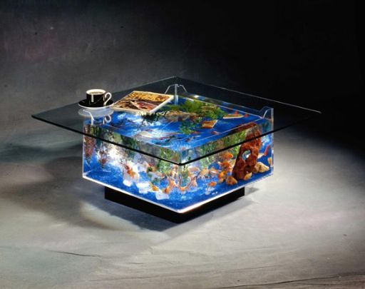 Best Aquarium