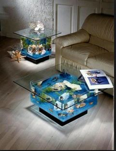 Best Aquarium