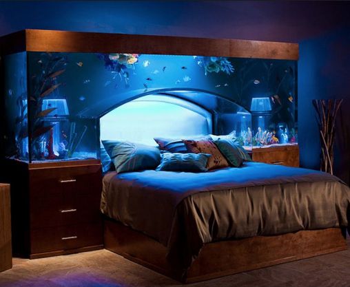 Best Aquarium
