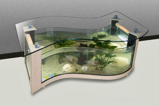 Best Aquarium