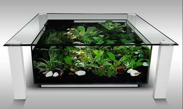 Best Aquarium