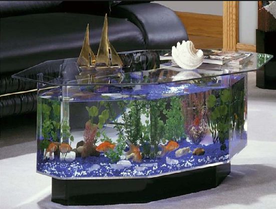 Best Aquarium