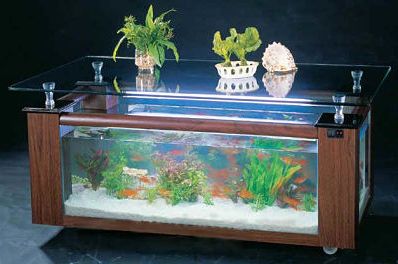 Best Aquarium