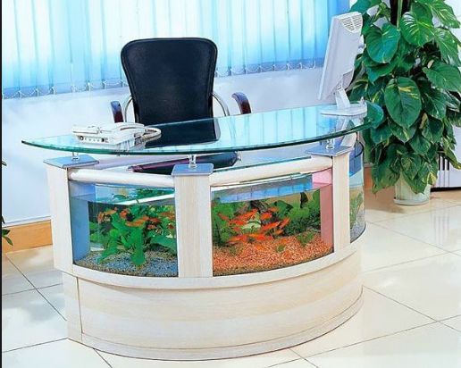 Best Aquarium