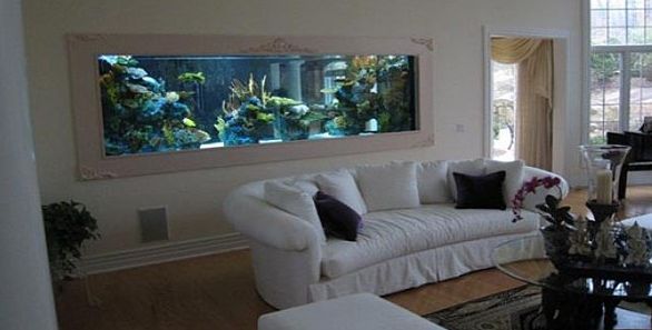 Best Aquarium