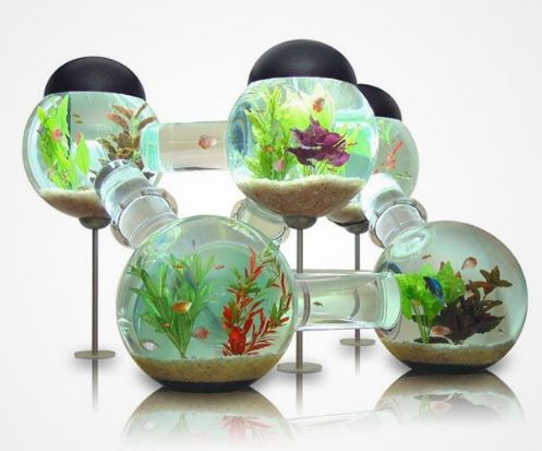 Best Aquarium