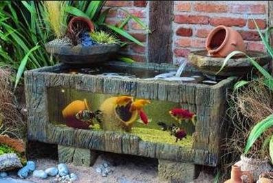 Best Aquarium