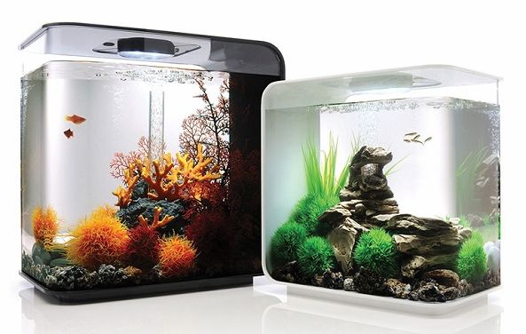 Best Aquarium