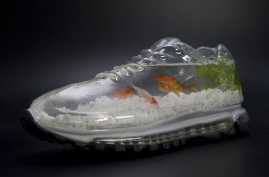 Best Aquarium