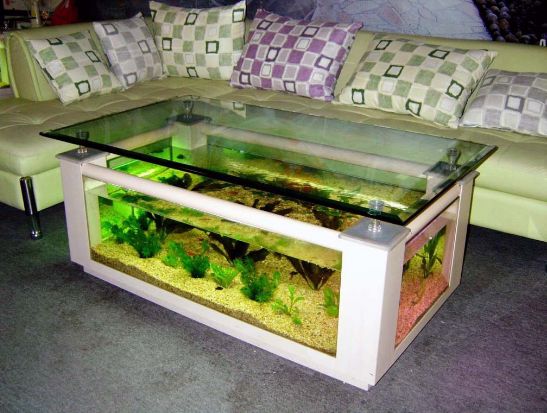 Best Aquarium