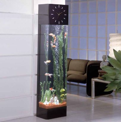 Best Aquarium