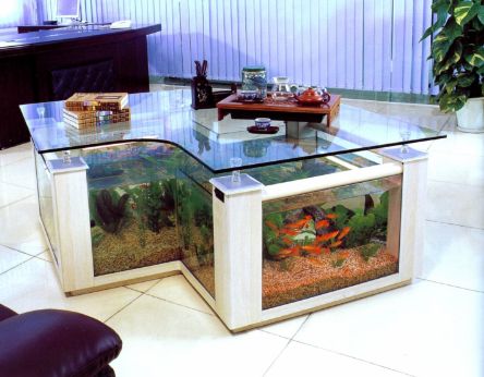 Best Aquarium