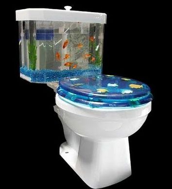 Best Aquarium