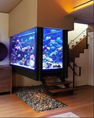 Best Aquarium