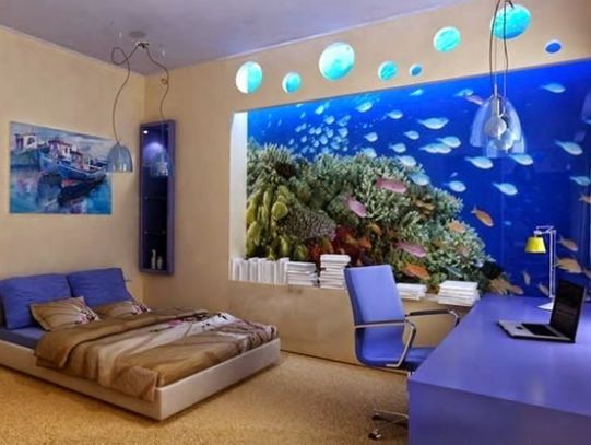 Best Aquarium