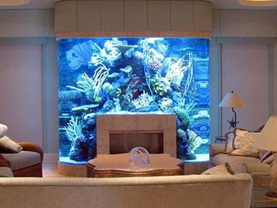 Best Aquarium