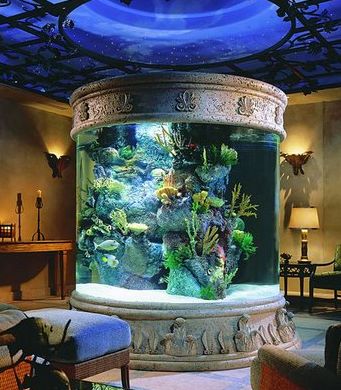 Best Aquarium