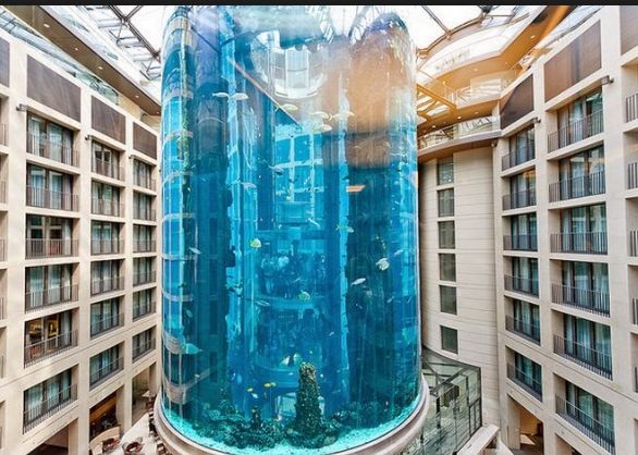 Best Aquarium