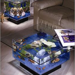 Best Aquarium