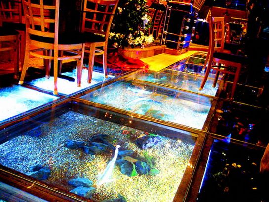 Best Aquarium